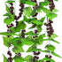 Meiliy 8FT 5pcs Artificial Greenery Chain Grapes Fake Vines Leaves Foliage Simulation Fruits for Home Room Garden Wedding Garland Outside Decorati...