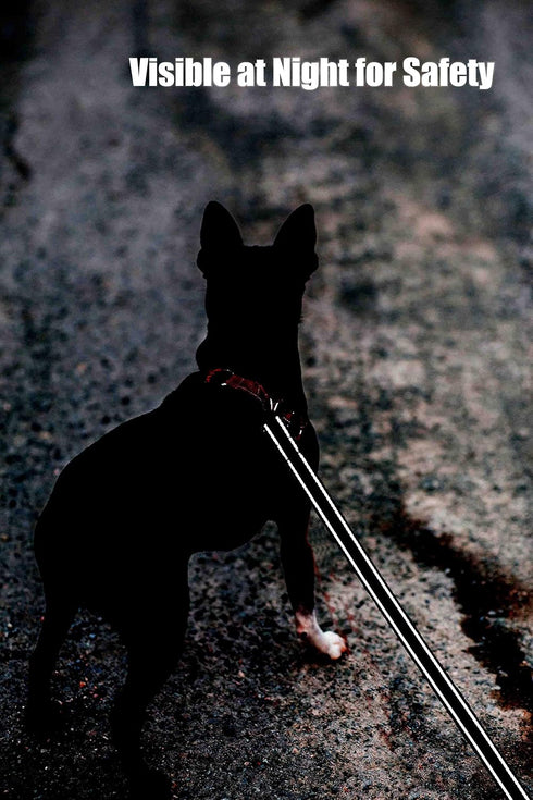 6FT Reflective Dog Leash for Large&Medium and Small Dogs,Nylon Leashes for Walking and Training,6 Foot Leash with D Ring, 6 FT (1 inch X 6FT, Blac...