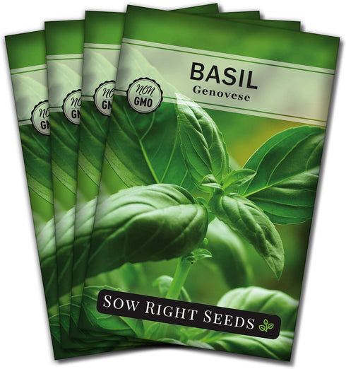 Sow Right Seeds - Genovese Sweet Basil Seed for Planting - Non-GMO Heirloom Packet with Instructions to Plant and Grow a Kitchen Herb Garden - Ind...