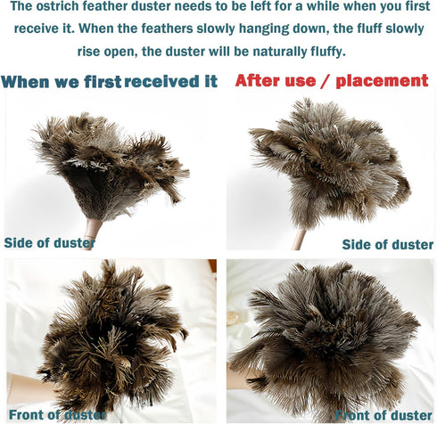 Feather Duster, Feather Dusters for Cleaning Ddzmz Fluffy Natural Genuine Ostrich Feathers with Wooden Handle Reusable Handheld Ostrich Feather Du...