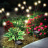 Sensor Brite Solar Garden Lights, Adjustable Firefly Lights with 10-Hour Illumination, Auto ON/Off Outdoor Garden Lights, Easy Install LED Light P...