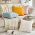 Top Finel Cream White Decorative Throw Pillow Covers 18 X 18,Soft Couch Living Room Sofa Velvet Cushion Case Pack of 2,Christmas Home Decor for Be...