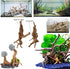 8 Pack Natural Driftwood for Aquarium, Aquarium Decor Spider Wood Freshwater Fish Tank Reptile Driftwood Branch (3.15"- 4")...