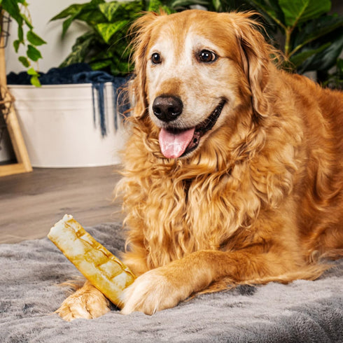 Pet Factory American Beefhide 7" Rolls Dog Chew Treats - Chicken Flavor, 4 Count/1 Pack...