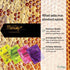 Manudy+ New Zealand Manuka Honey Sweets Lollipops MGO250+ Natural Fruits Flavor 12 Pops (Lemon)...