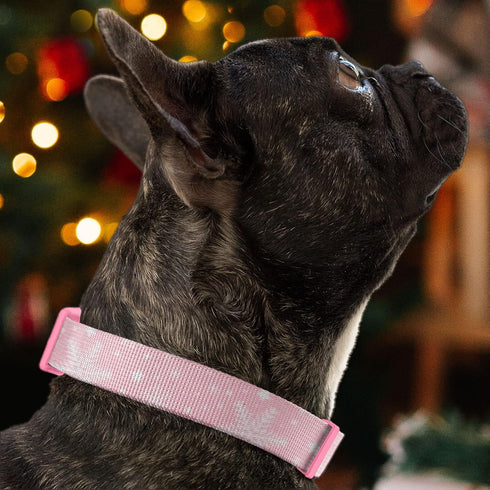 Pawtitas Soft Adjustable Puppy Collar Leash Harness Sold Separately Personalized Customizable Dog Collar Embroidered Customize Pet Name Phone Numb...