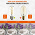 Fishbone LED Filament Vintage Edison Light Bulbs, T45/T14 E26 4W Antique Tubular Edison Bulbs 40 Watt Equal, 400LM 4000K Daylight White Spiral Ret...