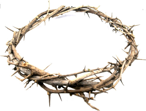 ZULUF 7.5" Crown of Thorns from Bethlehem Jerusalem – Authentic Holy Land Passion of Christ Gift Boxed Ornament HLG027...
