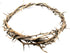 ZULUF 7.5" Crown of Thorns from Bethlehem Jerusalem – Authentic Holy Land Passion of Christ Gift Boxed Ornament HLG027...
