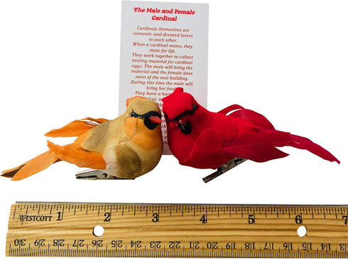 Westmon Works Cardinal Decor Set with Clip Male and Female Love Bird Cardinals with Story Card Boxed...