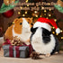 2pc Guinea Pig Stuffed Animals - Realistic Plush Cute Plushie Toys for Kids, Small Live Animals Pet Doll Toy for Boys Girls Birthday...