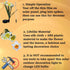 Solar Daffodil Flower Light Garden Outdoor Stake LED Waterproof Lamp 2 Pack Artificial Plant Outside Decorative Pathway Yard for Landscape...