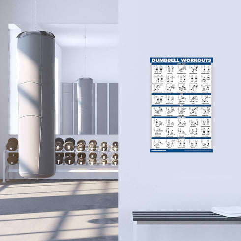 Palace Learning 3 Pack - Dumbbell Workouts + Barbell Exercises + Cable Machine Workouts - Set of 3 Workout Charts (LAMINATED, 18” x 24”)...