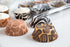 Fox Run Animal Prints Paper Muffin and Cupcake Liners, Set of 75, Standard Size Wrappers...