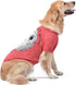 Star Wars for Pets "That's No Moon" Dog Tee | Star Wars Dog Shirt for Large Dogs | Size X-Large | Soft, Cute, and Comfortable Dog Clothing and App...