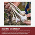 Burlap & Barrel Purple Stripe Garlic -As Seen on Shark Tank! Alternative to Fresh/Granulated Garlic- Savory Sweet Flavor to Tomato Sauces, Fried C...