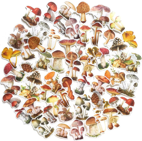 60PCS Mushroom Laptop Stickers Decals, Doraking DIY Mushroom Plants Decoration Stickers Decals for Windows, Refrigerator, Decoration (Mushroom Col...