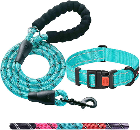 Heavy Duty Dog Leash - Comfortable Padded Handle, 5 ft Long - Dog Leashes for Small Medium Large Dogs (Leash+Collar M Neck 16"-20", Blue)...