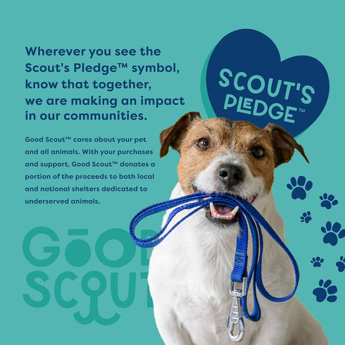 Good Scout Cage Ball Dog Fetch Toy, Indoor and Outdoor Rubber Dog Toy for Medium and Large Dogs...