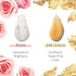 A TYPICAL Jelly Mask for Facials Professional, Hydrojelly Mask for Facials, 5 Pack Kiwi, Rose, Aloe, Lavender & Gold Powder Peel Off, Esthetician ...