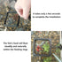 FREESEA Fish Feeding Ring for Aquarium: Square Betta Floating Feeding Ring for Fish tank...