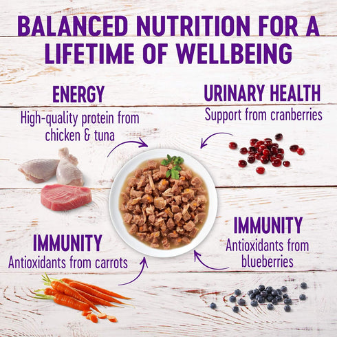 Wellness Healthy Indulgence Gravies Grain-Free Wet Cat Food, Made with Natural Ingredients and Quality Proteins, Complete and Balanced Meal, 3 oz ...