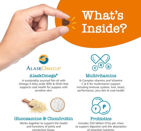 Zesty Paws Multivitamin Treats for Dogs - Glucosamine Chondroitin for Joint Support + Digestive Enzymes & Probiotics - Grain Free Dog Vitamin for ...