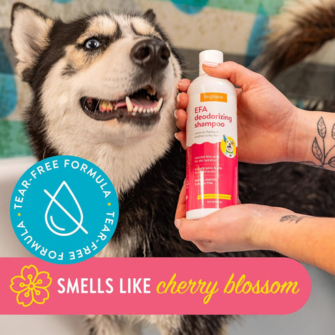 Essential Fatty Acid (EFA) Deodorizing Shampoo for Dogs and Pets (16oz) – Cherry Blossom Scent | Soothing Shampoo Rich with Moisturizing Emollient...