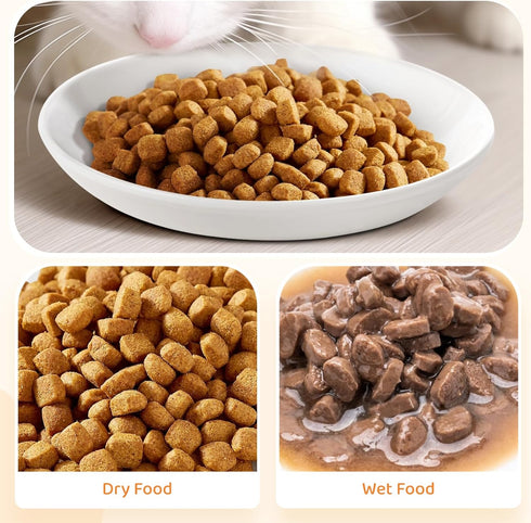 Ceramic Cat Food Plates: Cat Wet Food Bowls/Whisker Fatigue Cat Dishes & Shallow Bowls for Kittens and Small Animals1...