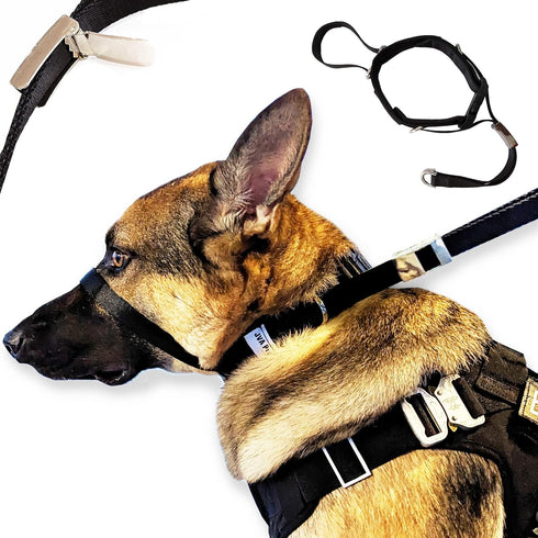 Dog Headcollar for Large Dogs (L), No-Pull Dog Collar for Large Dog. This No-Pull Dog Headcollar does not harm or hurt your dog and works better t...