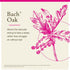 Bach Original Flower Remedies, Oak for Endurance and Strength (Non-Alcohol Formula), Natural Homeopathic Flower Essence, Holistic Wellness and Str...