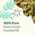 Plant Therapy Sweet Fennel Essential Oil 10 mL (1/3 oz) 100% Pure, Undiluted, Therapeutic Grade...