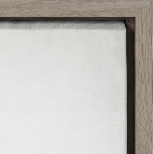 Kate and Laurel Sylvie Succulent 5 Framed Canvas by F2 Images, 18x24 Gray...