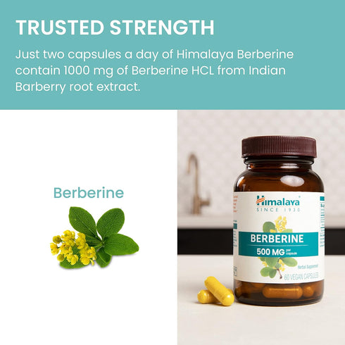Himalaya Berberine for Metabolism & Cholesterol Support, GI Support & Immune Support, 1000 mg Serving, Berberine HCL from Indian Barberry Root, Ve...