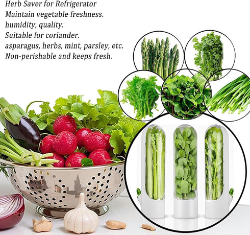 Herb Saver for Refrigerator, Herb Saver Pod, Vegetable Preservation Bottle, Fresh Herb Keeper for Cilantro, Mint, Parsley, Asparagus, Keeps Greens...