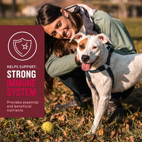 VetIQ Multivitamin Supplement for Dogs, Supports Active Brain Function, Immune System, and Digestive System, Hickory Smoke Flavored Dog Multivitam...