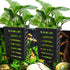 4PCS Aquarium Plant Holder,Hanging Aquarium Planter Cups,Plant Holder for Fish Tank,Aquatic Plant Pot, Aquatic Plants Holder with Holes,Plastic Aq...