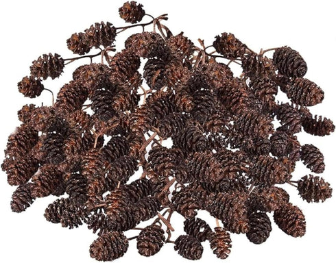 SunGrow Alder Cones for Shrimps, Water Conditioner for Freshwater Shrimp Tanks, Aquarium Decorations & Accessories (100 Pcs)...