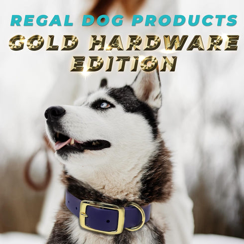 Regal Dog Products Small Light Blue Waterproof Dog Collar with Gold Buckle, Resilient and Durable Materials, Comfortable Design - for Small, Mediu...