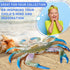 2Pcs Crab Toys for Babies - Realistic Sea Creature Toys Educational Model Ocean Animals Toys Crab Toy Bath - Plastic Crawling Crab Baby Toy Ocean ...