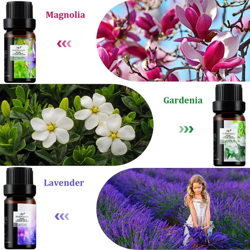 Flower Essential Oils Set, 6x10ml Aromatherapy Oil Gift Kit for Diffuser, Fragrance, Humidifier, Air Purifier- Gardenia, Magnolia, Shangri-La, Jas...