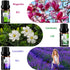 Flower Essential Oils Set, 6x10ml Aromatherapy Oil Gift Kit for Diffuser, Fragrance, Humidifier, Air Purifier- Gardenia, Magnolia, Shangri-La, Jas...
