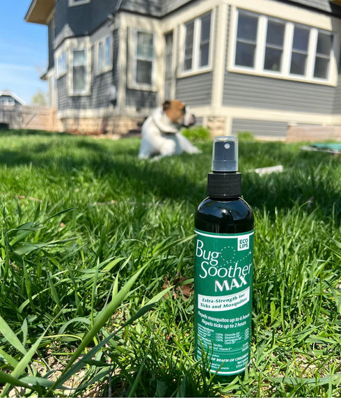 Bug Soother MAX - Natural Gnat, Tick, and Mosquito Repellent, 8 fl oz Bug Spray Deterrent - DEET-Free Safe for Adults and The Environment - Made i...