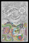 Design Works Crafts 4004 Dream 10" x 16" Zenbroidery Kit, Multicolor...