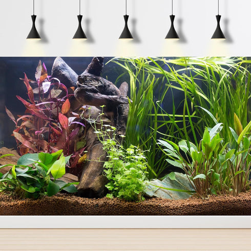 Aquarium Background Tropical Planted Freshwater Terrarium Background Aquatic Plants Rocks with Moss Roots Tropical Style Aquarium Backdrop Fish Ta...