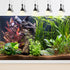 Aquarium Background Tropical Planted Freshwater Terrarium Background Aquatic Plants Rocks with Moss Roots Tropical Style Aquarium Backdrop Fish Ta...