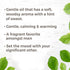 Plant Therapy Amyris Essential Oil 10 mL (1/3 oz) 100% Pure, Undiluted, Therapeutic Grade...