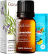 Gya Labs Lavender Essential Oil for Diffuser - 0.34 Fl Oz - 100% Pure Natural Lavender Oil for Skin, Hair, Massage, Aromatherapy & Candle Making S...