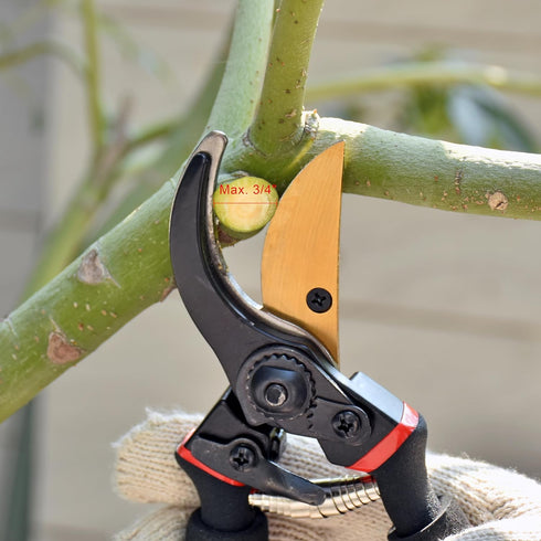 Bypass Pruning Shears Max.1-1/4" Handheld Garden Tools Plant Scissors Trimming Gardening Pruners Clippers Advanced Carbon Tool Steel...