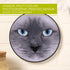 Bucilla Photographic 6" Stamped Embroidery Kit, Cat Eyes, Includes 4-Color Printed Fabric, 6" Hoop, Embroidery Floss, Needle, and Instructions, 49...